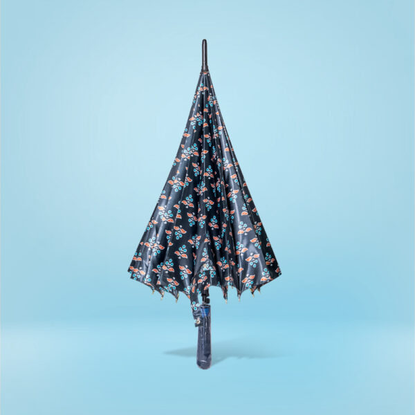 Folded Piano Umbrella